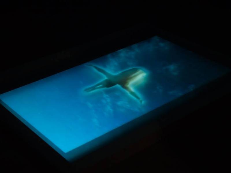 Historia de un&nbsp;malentendido