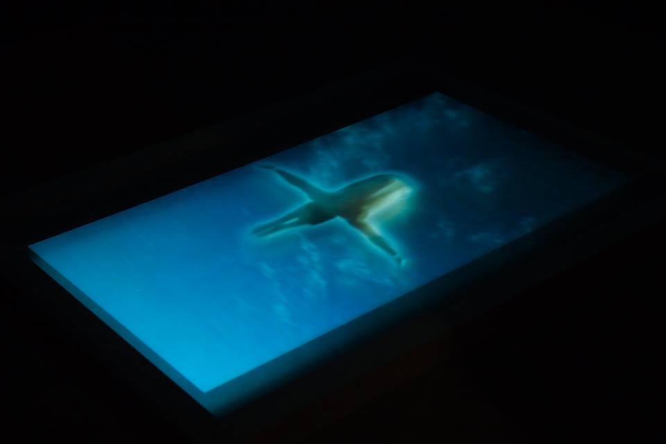 Historia de un&nbsp;malentendido